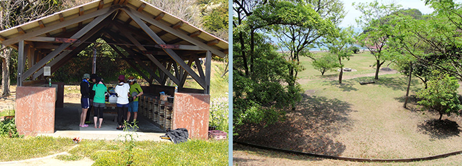 Teraura Camping Ground