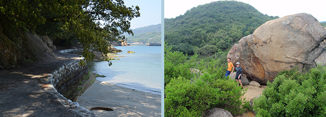 Walking Tracks and Daikan-tei Observatory