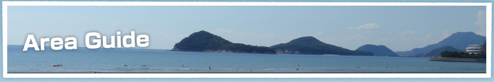 フィールド紹介