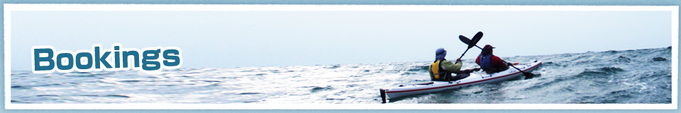 フィールド紹介