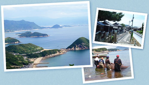 香川県仁尾町について