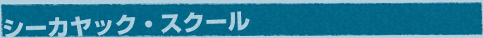 シーカヤック・スクール